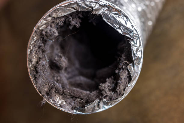 Best Ventilation Cleaning Services  in Occidental, CA