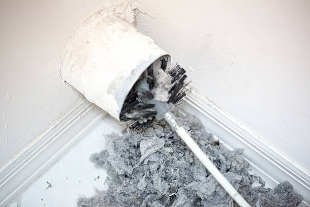Best Local Air Duct Cleaning Services  in Occidental, CA